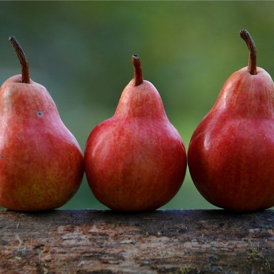 Image of three red pears on a piece of wood.